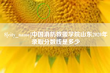 正定中国消防救援学院山东2020年录取分数线是多少