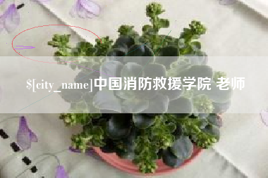 正定中国消防救援学院 老师