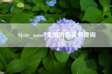 正定全国消防证书查询