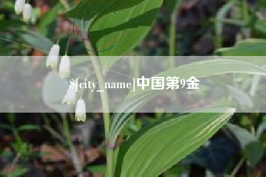 正定中国第9金