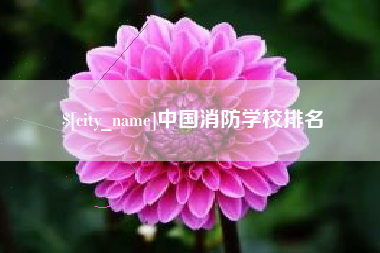 正定中国消防学校排名