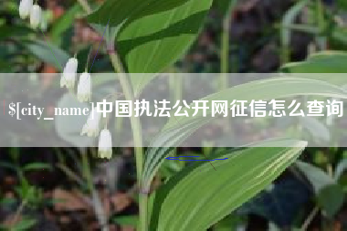正定中国执法公开网征信怎么查询