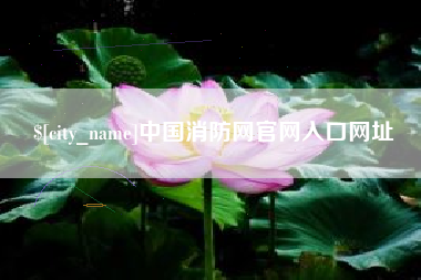 正定中国消防网官网入口网址