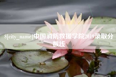 正定中国消防救援学院2019录取分数线