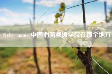 正定中国消防救援学院在那个地方