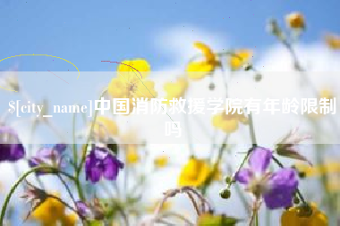正定中国消防救援学院有年龄限制吗