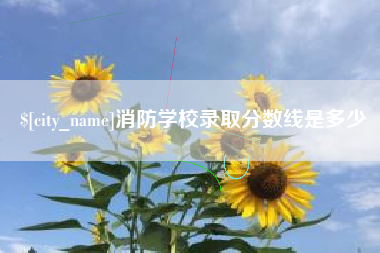 正定消防学校录取分数线是多少