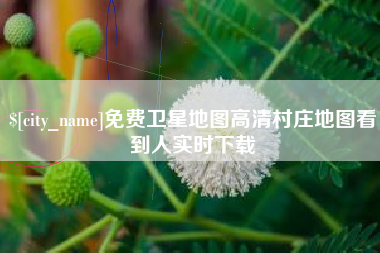 正定免费卫星地图高清村庄地图看到人实时下载