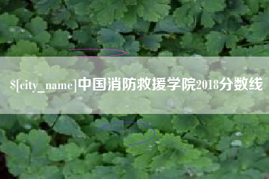 正定中国消防救援学院2018分数线