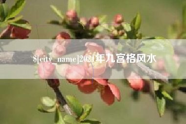 正定2021年九宫格风水