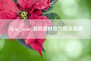 正定消防器材官方购买渠道
