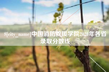 正定中国消防救援学院2020年各省录取分数线