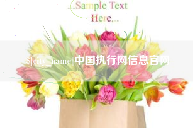 正定中国执行网信息官网