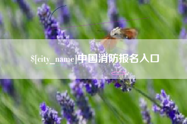 正定中国消防报名入口