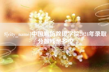 正定中国消防救援学院2024年录取分数线是多少