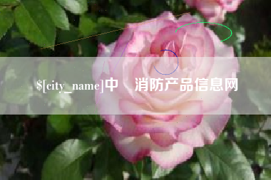 正定中囯消防产品信息网