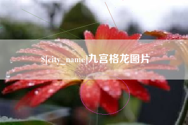正定九宫格龙图片