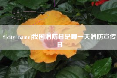 正定我国消防日是哪一天消防宣传日