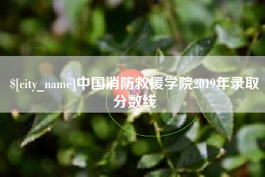 正定中国消防救援学院2019年录取分数线