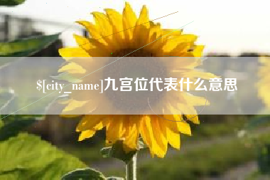 正定九宫位代表什么意思