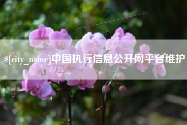 正定中国执行信息公开网平台维护