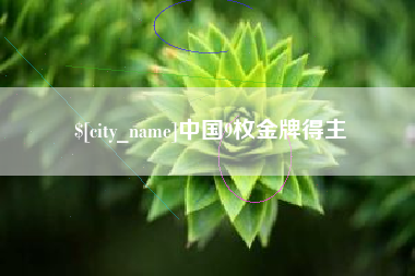 正定中国9枚金牌得主