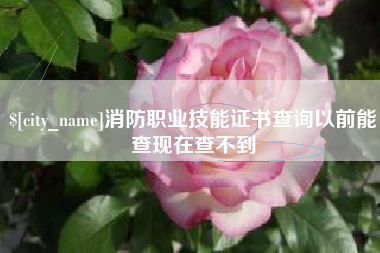 正定消防职业技能证书查询以前能查现在查不到