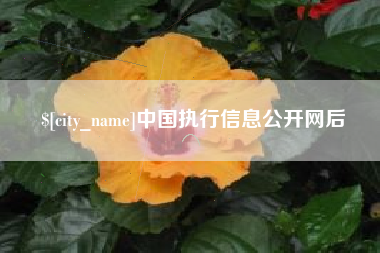 正定中国执行信息公开网后