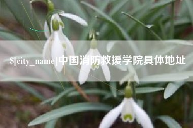正定中国消防救援学院具体地址