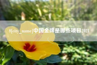 正定中国金牌是哪些项目2021