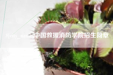 正定中国救援消防学院招生简章
