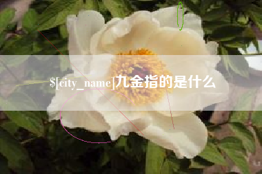 正定九金指的是什么