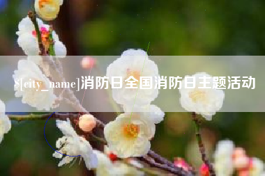 正定消防日全国消防日主题活动
