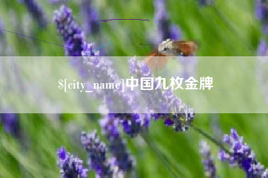 正定中国九枚金牌