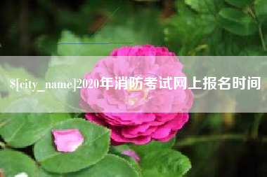 正定2020年消防考试网上报名时间