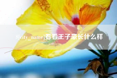 正定看看王子豪长什么样
