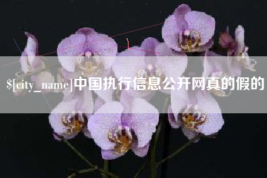 正定中国执行信息公开网真的假的