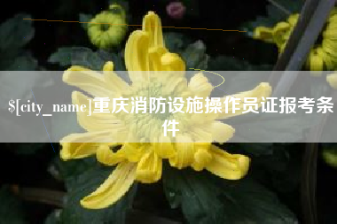 正定重庆消防设施操作员证报考条件