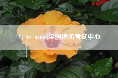 正定全国消防考试中心