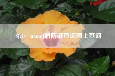 正定消防证查询网上查询