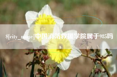 正定中国消防救援学院属于985吗