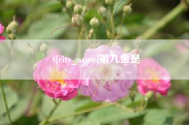 正定第九金是