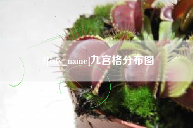 正定九宫格分布图