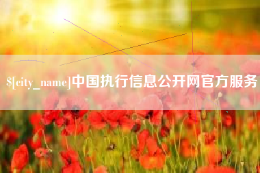 正定中国执行信息公开网官方服务