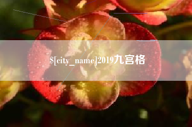 正定2019九宫格