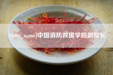 正定中国消防救援学院副院长