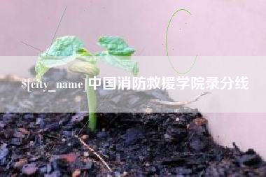正定中国消防救援学院录分线