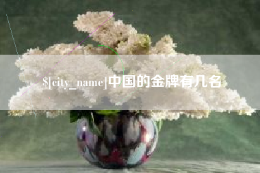 正定中国的金牌有几名