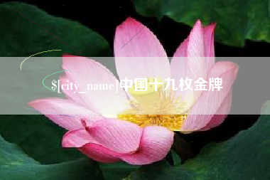 正定中国十九枚金牌