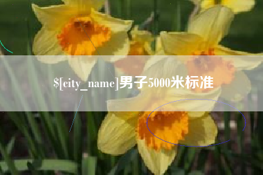 正定男子5000米标准